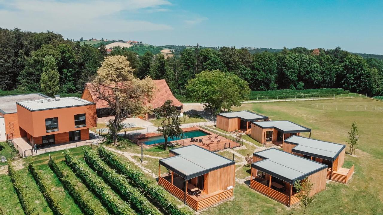 Wine Paradise Glavinic Miklavz pri Ormozu ภายนอก รูปภาพ